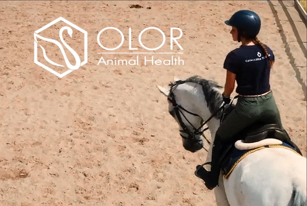 Olor Animal Health - Mangimi complementari per cavalli