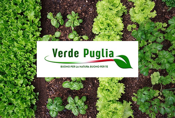Verde Puglia Website
